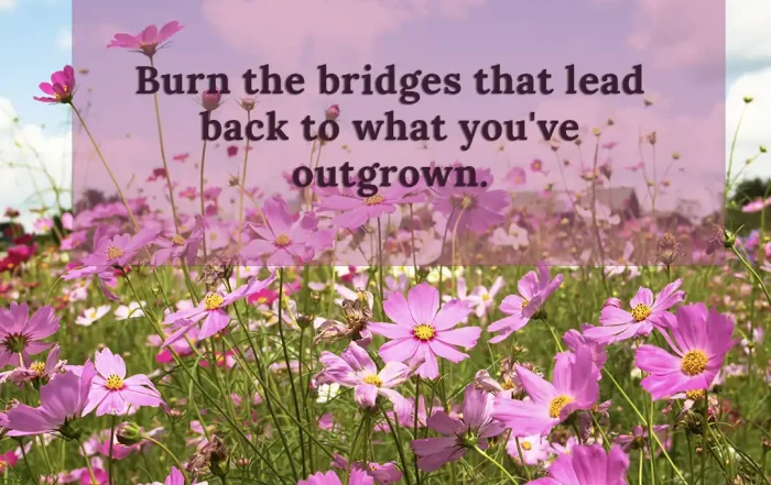 A field of pink cosmos flowers under a blue sky with a soft pink overlay featuring the quote, "Burn the bridges that lead back to what you've outgrown."